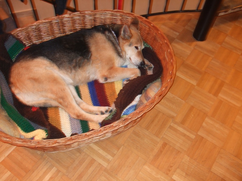 Ostern 2007 Orleshausen 108 